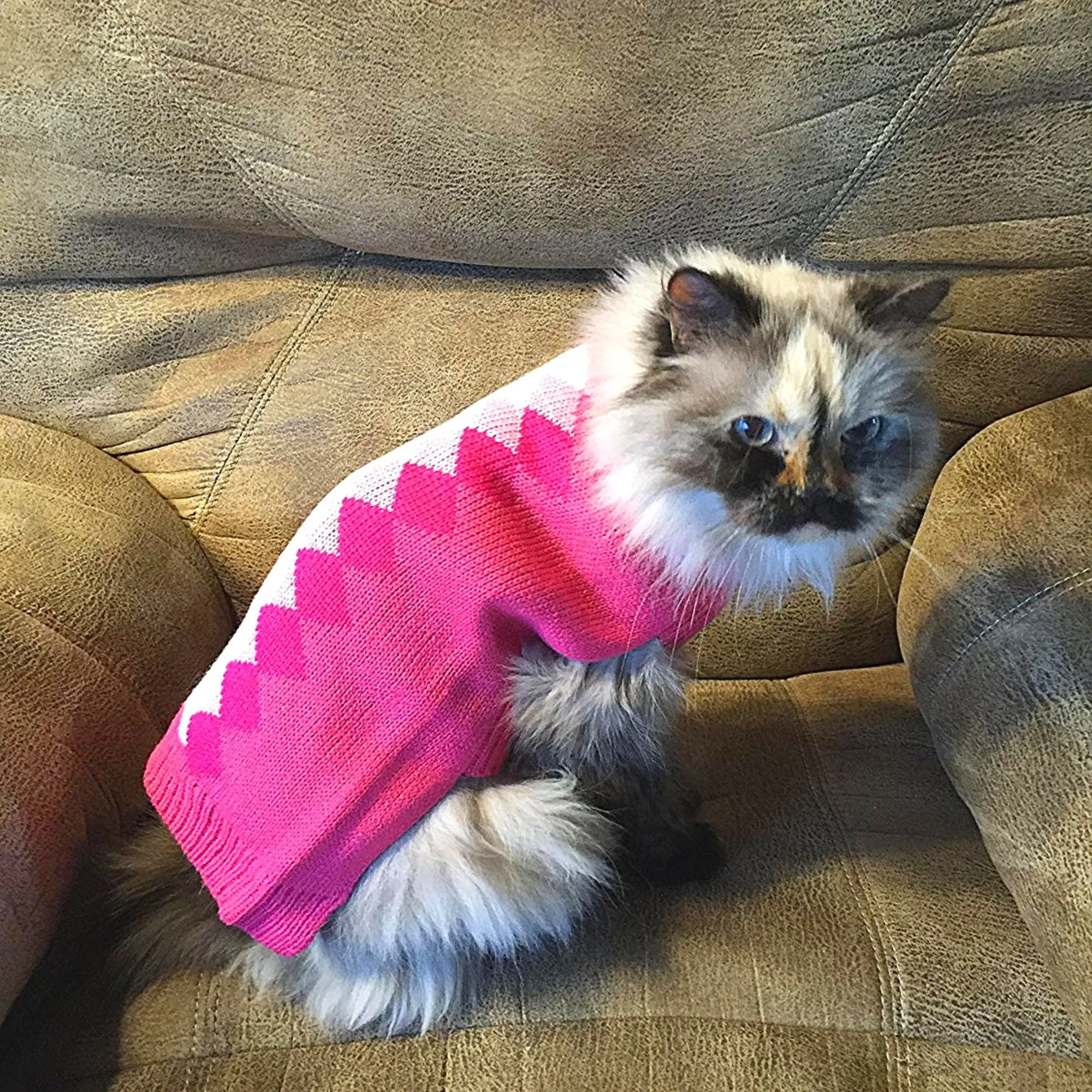 Midlee Argyle Dog Sweater - Black