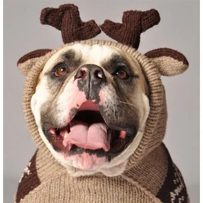 MOOSEY HOODIE DOG SWEATER